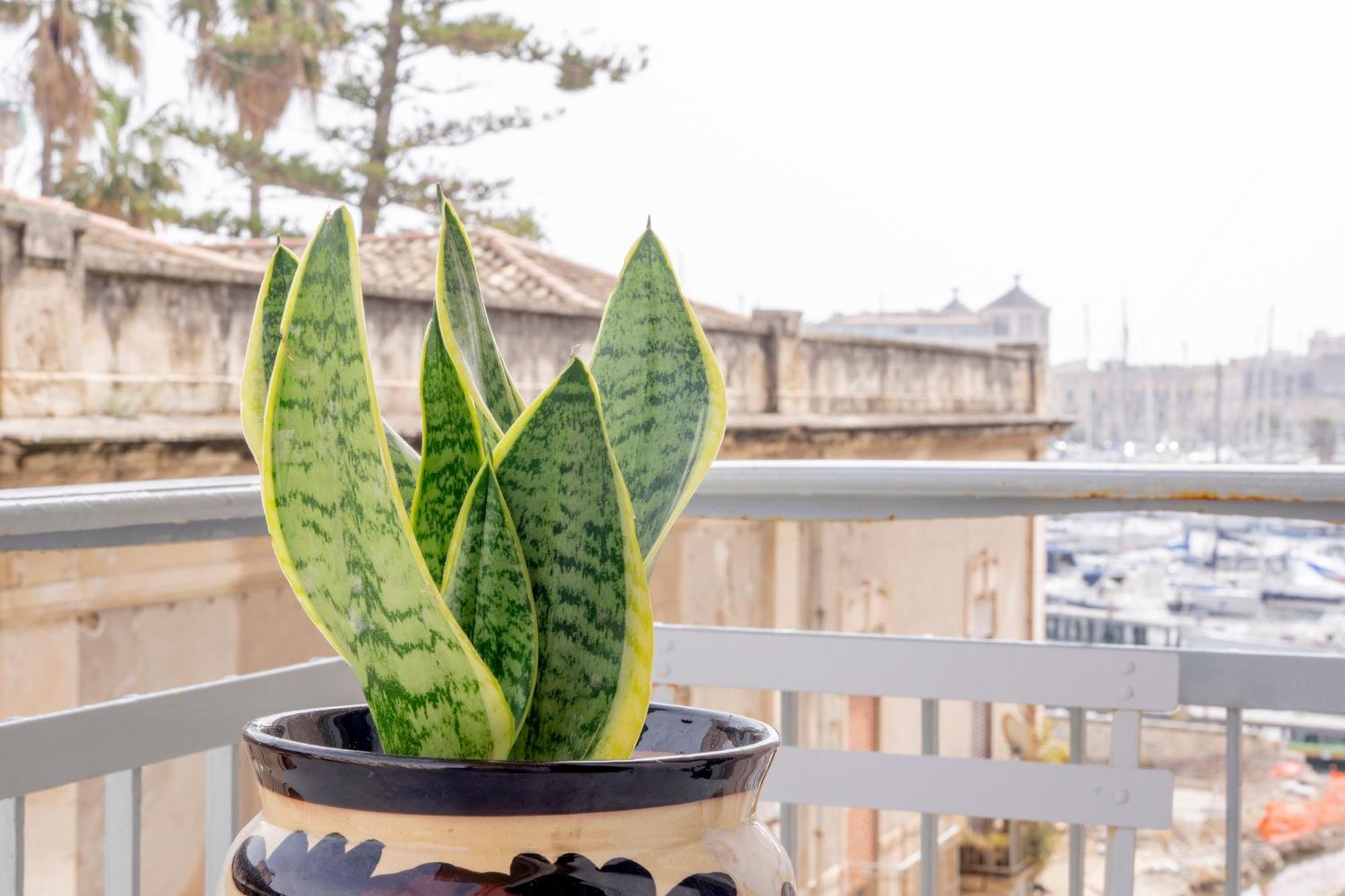 Eos Serenity Suites シラクーサ エクステリア 写真